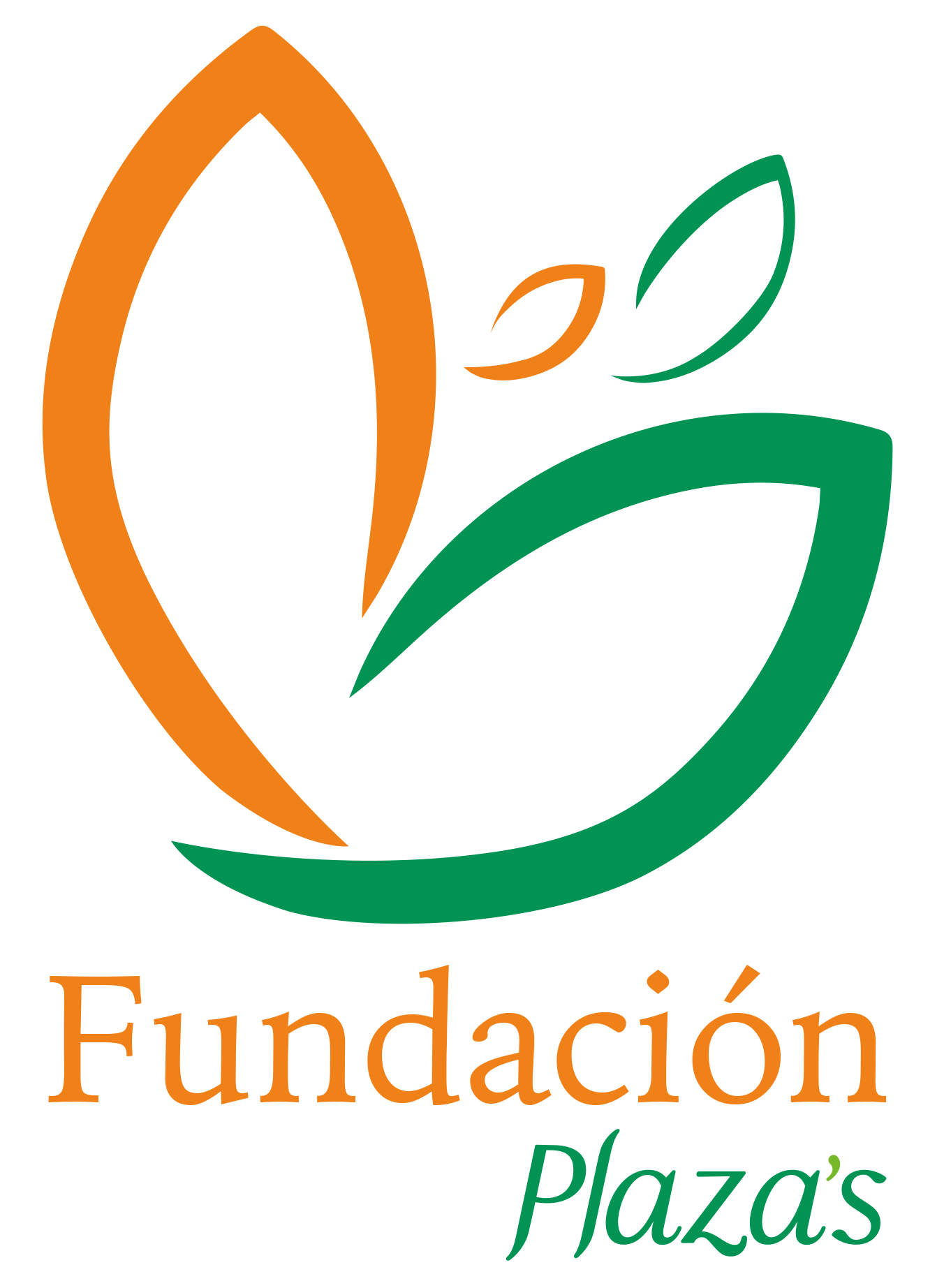 Fundación Plazas